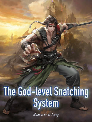 The God-level Snatching System